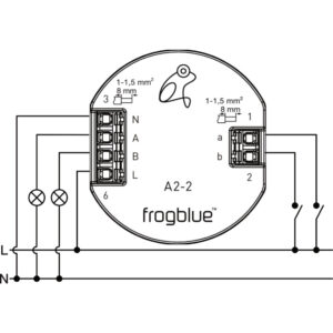 frogblue-frogAct2-2_Anschlussschema
